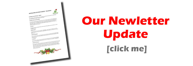 xmas newsletter xmas newsletter